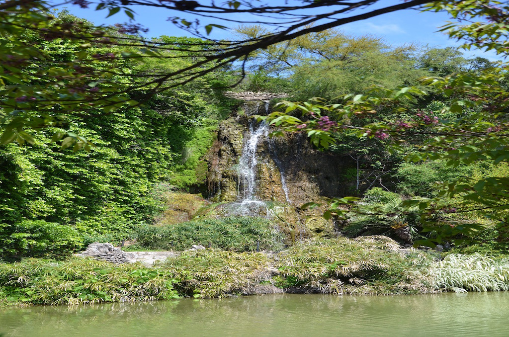 Gorgeous lush waterfall.