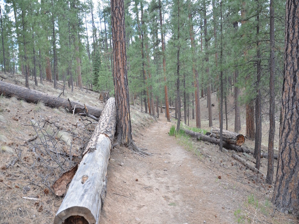 Our short 1/4 mile hike to Jemez Falls.