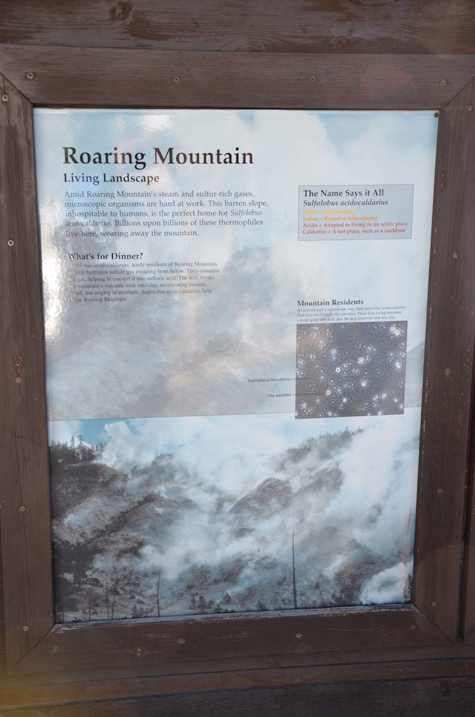 Roaring Mountain