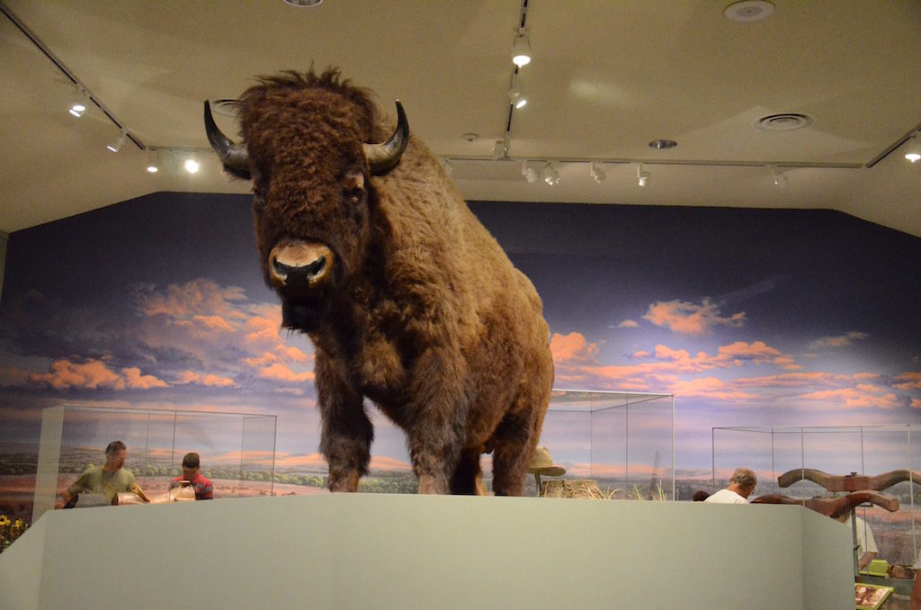 Of course they had Bison (Buffalo)