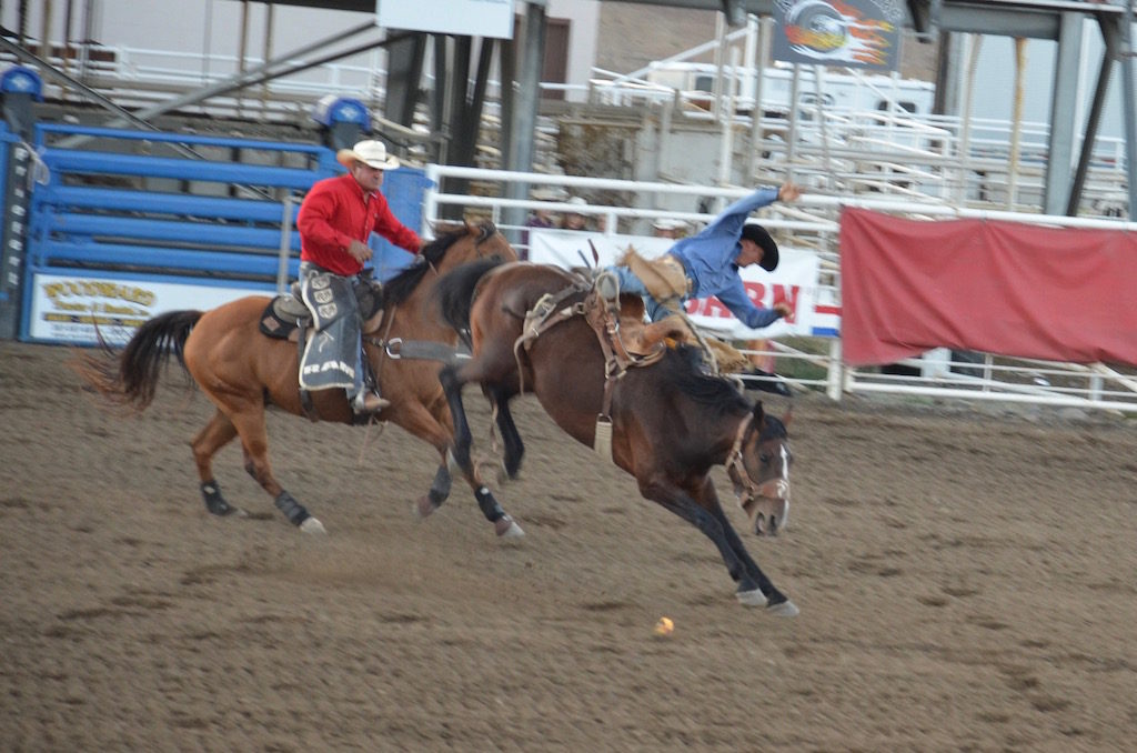 They had bucking broncos as well as bulls and cows for the younger riders.