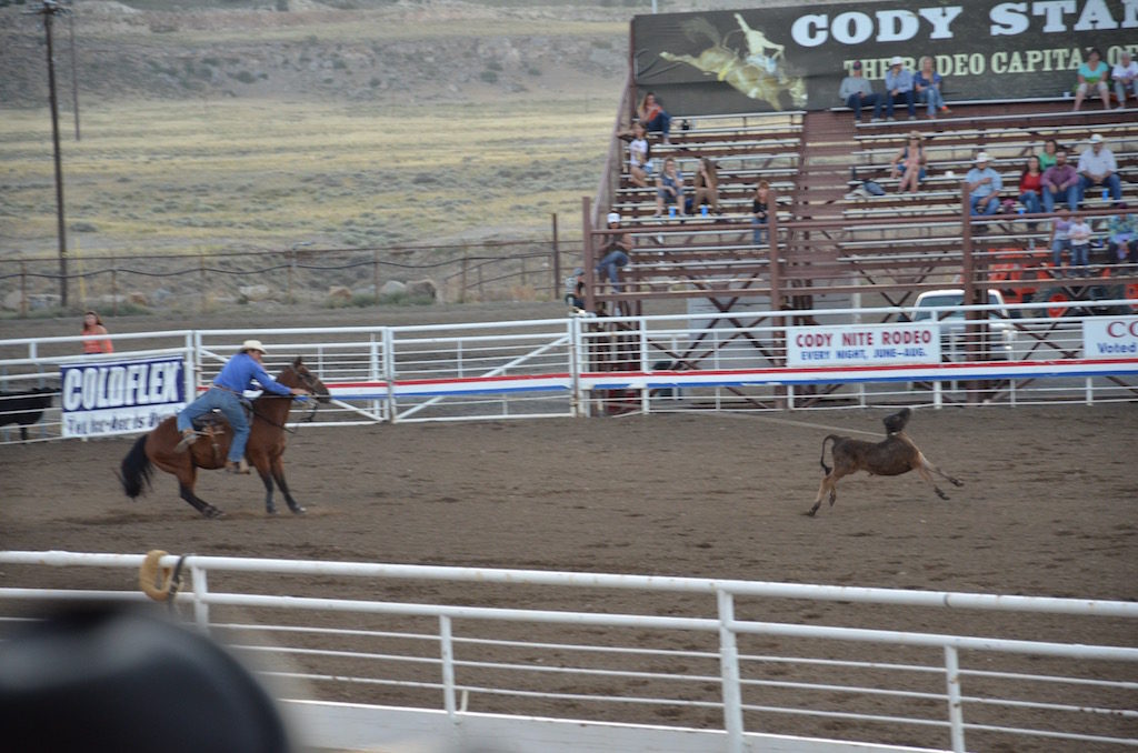 And cow roping