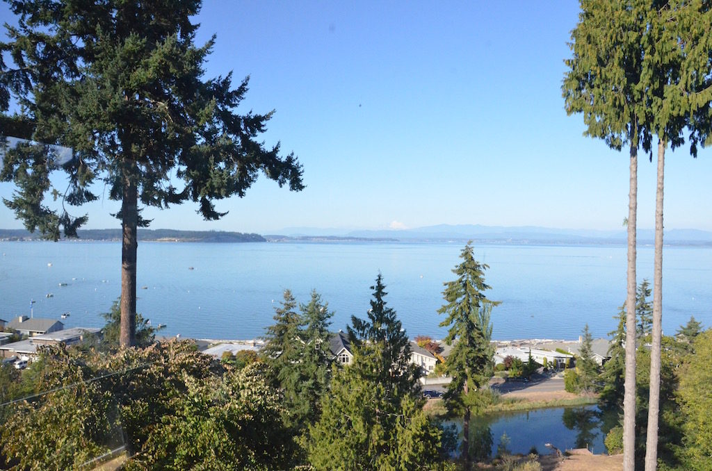 The view from Doug and Cindy's deck of their home in Bellevue 