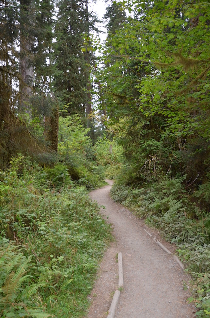 We went on a short hike on this trail; there was word of an Elk sighted close by.