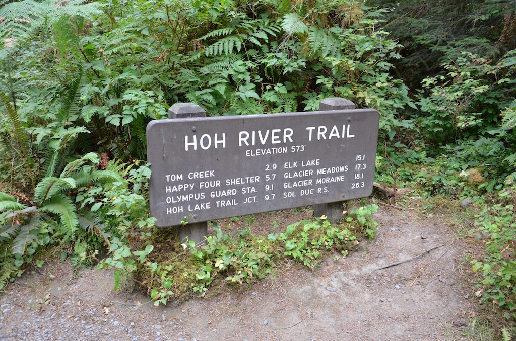 We took a day trip to the Hoh Rain Forrest