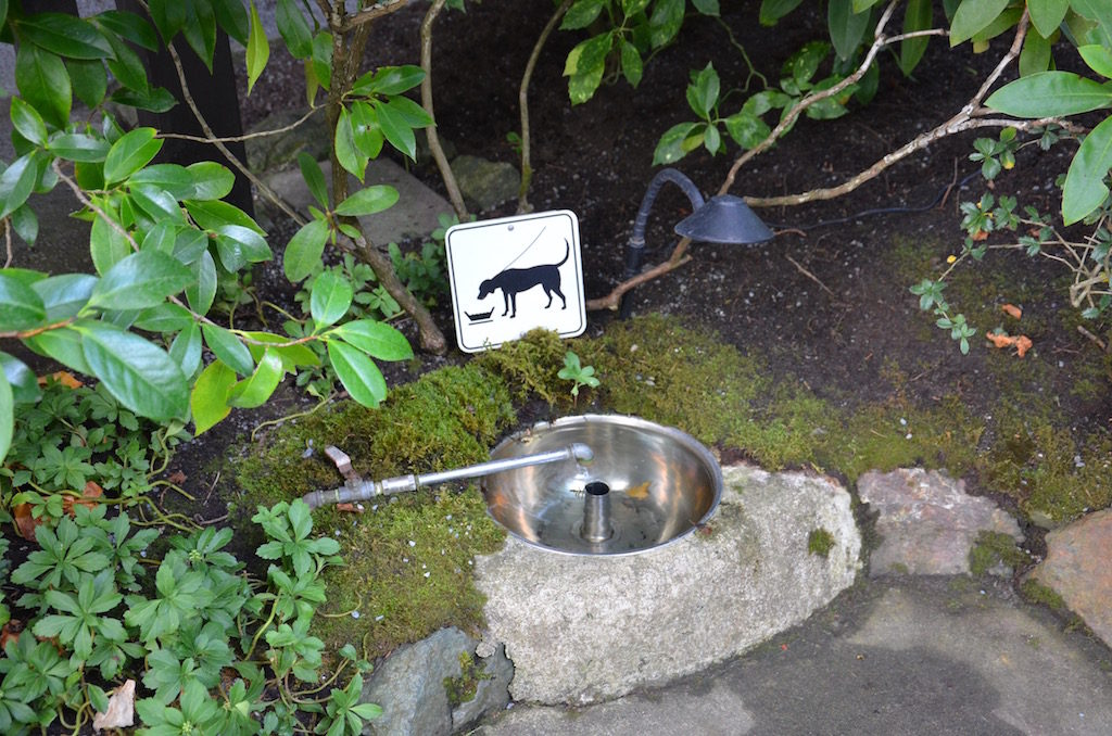 Very pet friendly; they even had these doggy drinking fountains !