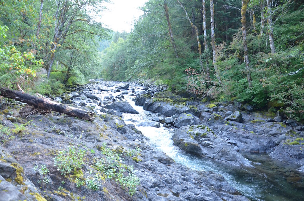 Off the side of the road was this small rapids called Salmon Falls. At the right time of year Salmon are going up stream to spawn.