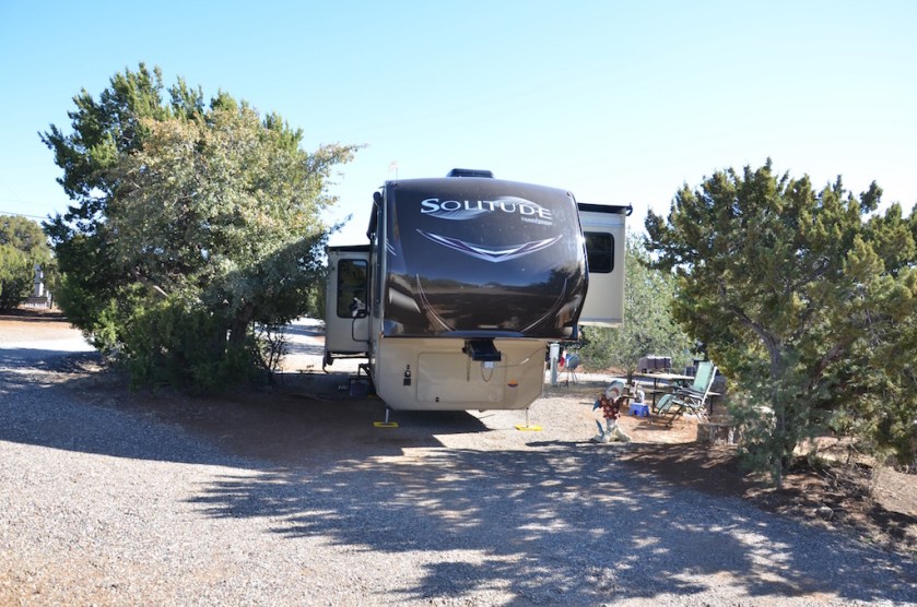Our campsite, nice trees!