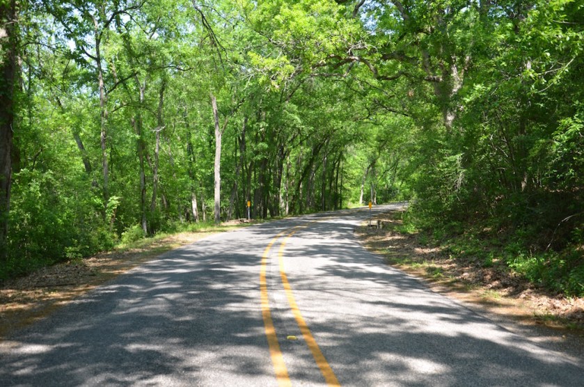 The scenic road into the park