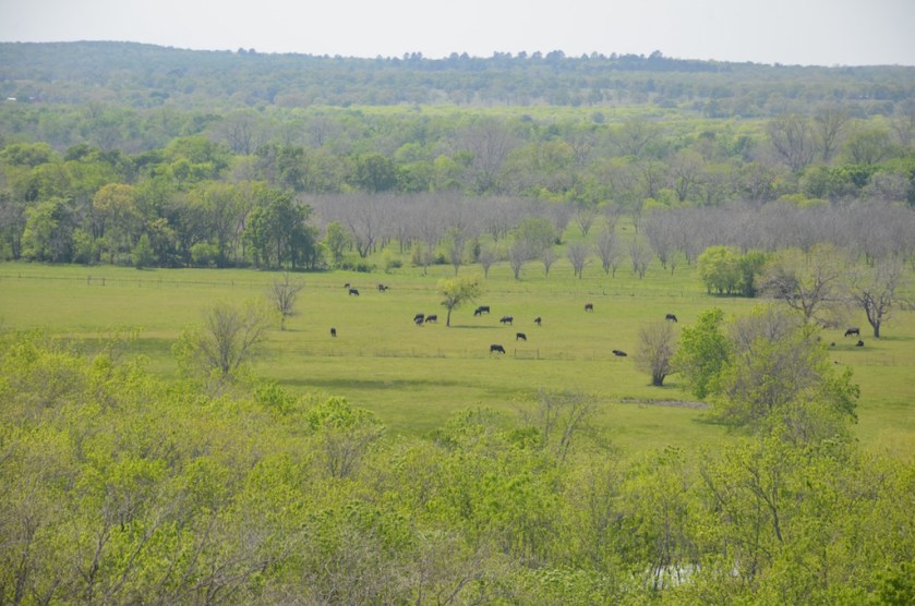 View just inside the park of the valley below.