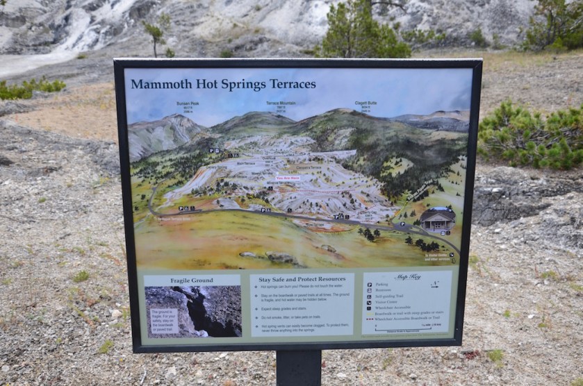 Mammoth Hot Springs