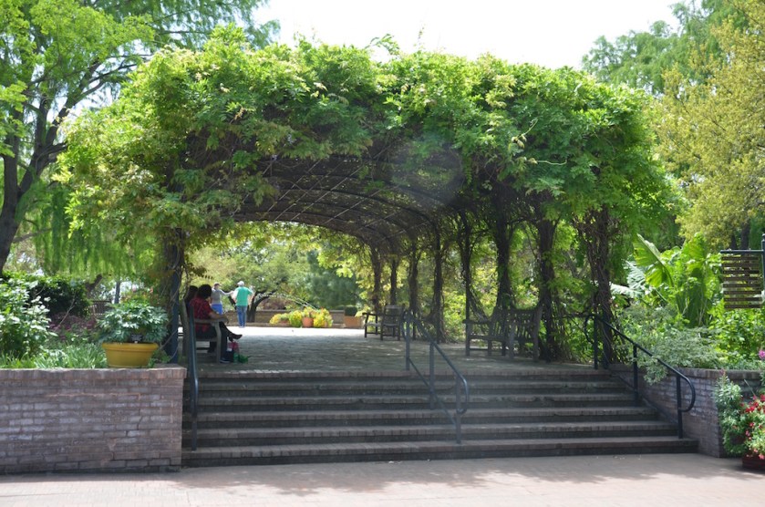 I didn't bother taking a picture of this Wisteria arbor before; it was bare!